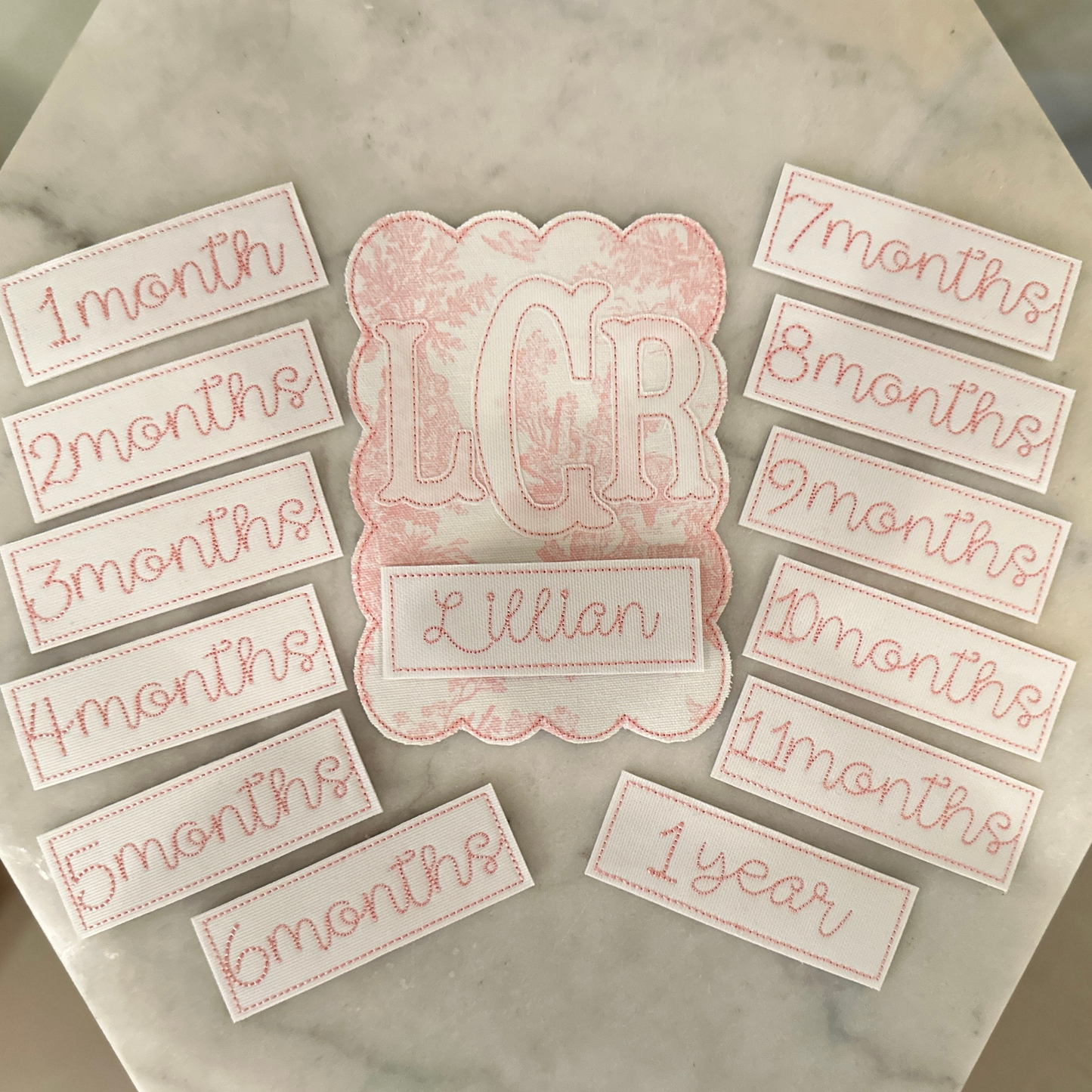 Monthly Milestone Photo Prop