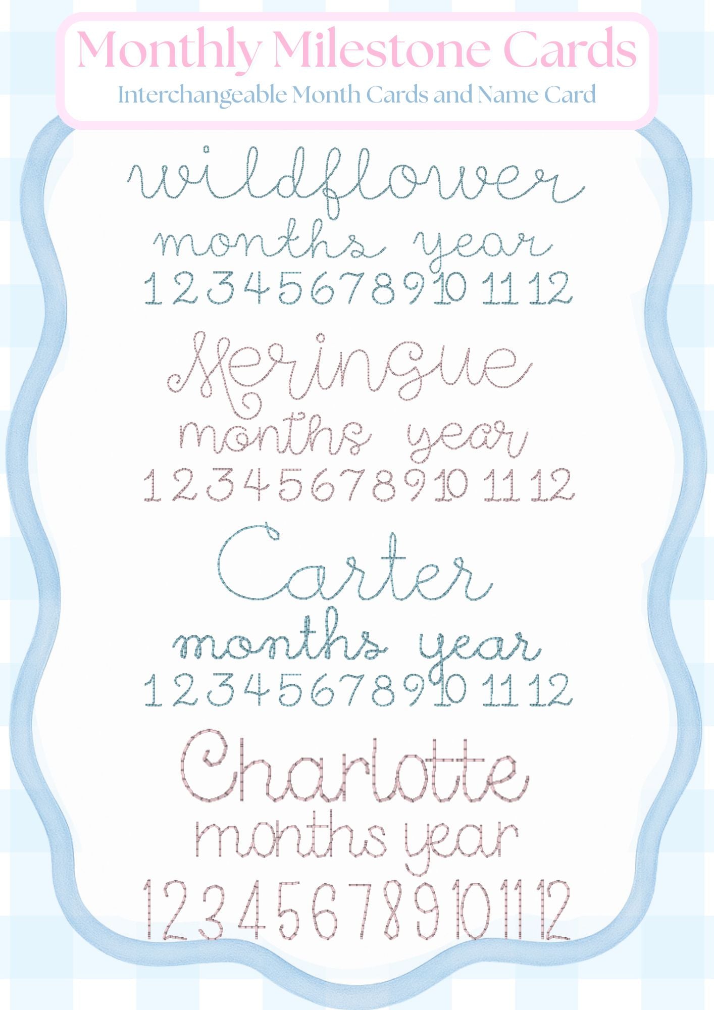 Monthly Milestone Photo Prop