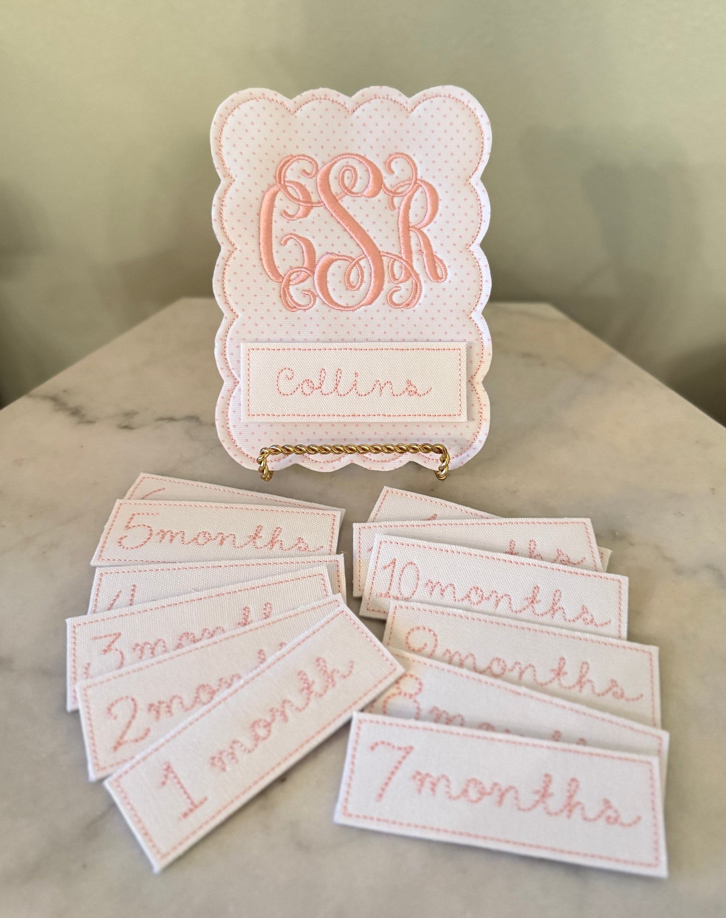 Monthly Milestone Photo Prop