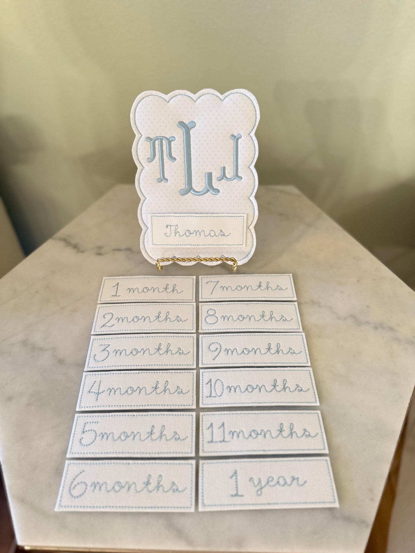 Monthly Milestone Photo Prop