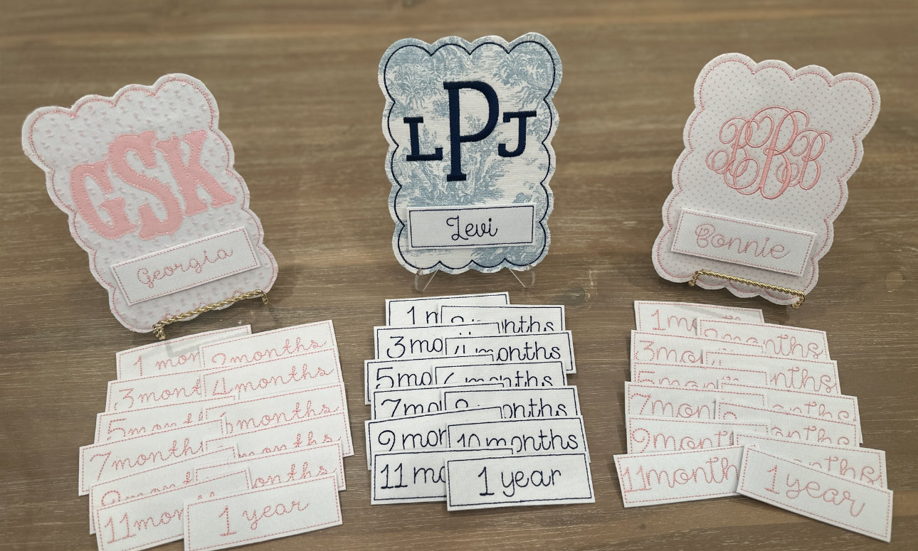 Monthly Milestone Photo Prop